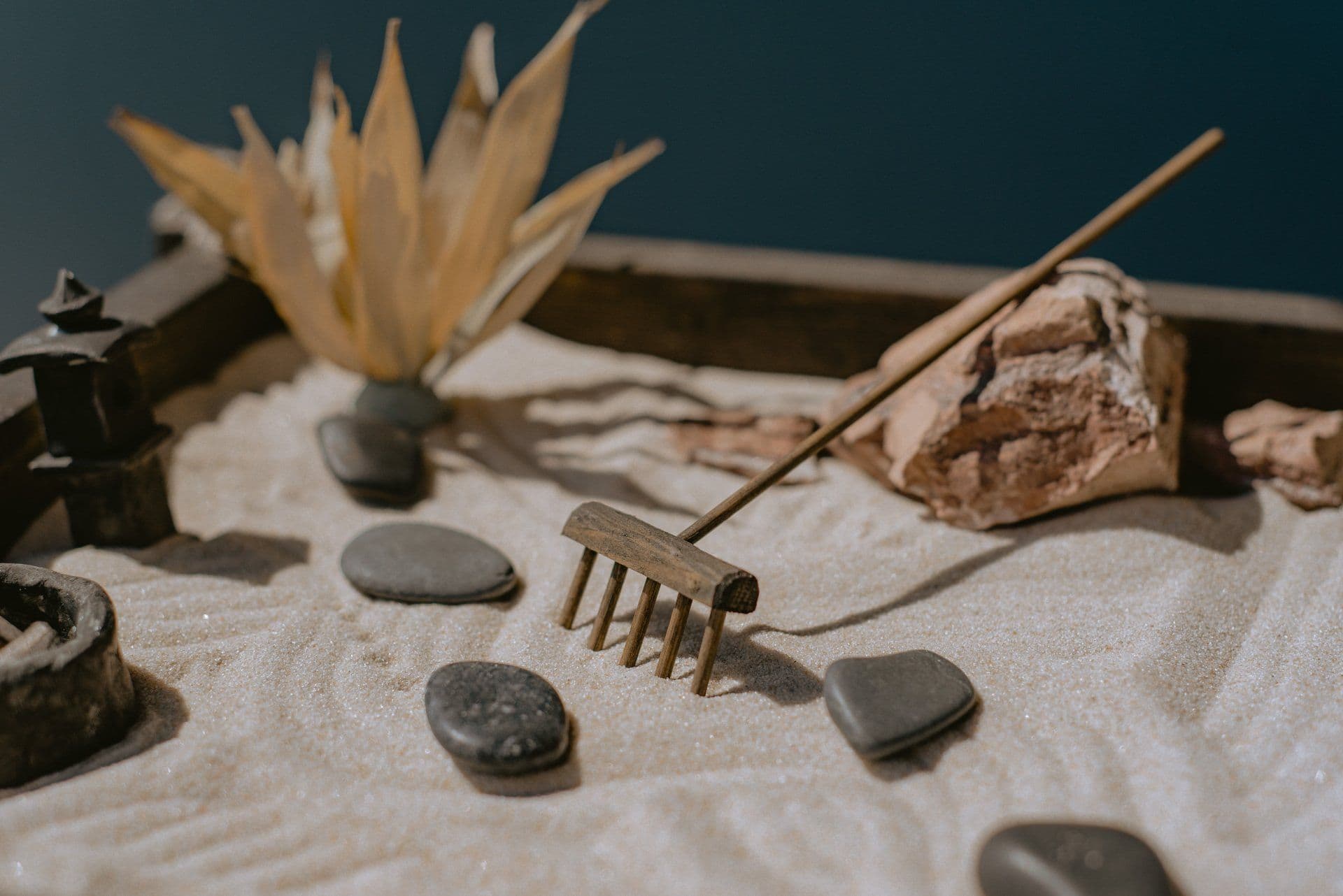 Jardin zen — apaisement et équilibre